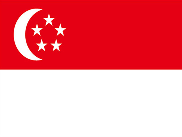 新加坡个人单次旅游签证电子签证